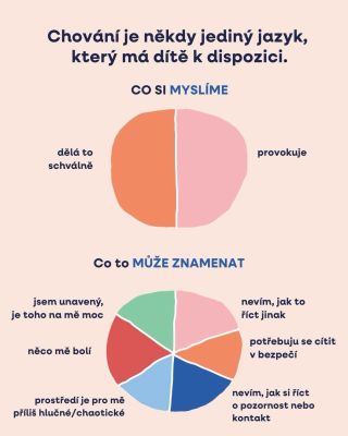 Chování může být jediný jazyk, který má dítě k dispozici. Až vás příště nějaké chování vytočí, zkuste se na chvíli...